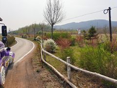 -大连铭湖国际观光牧场