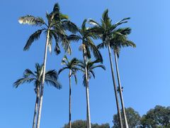 -广州市白云山风景名胜区