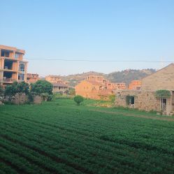 -Yukina Plus专业日式美肌