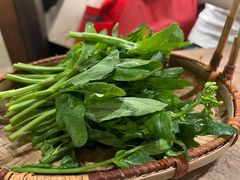 板蓝根-蘑界·野生菌火锅(深业上城店)