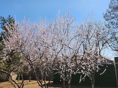 -三里河公园