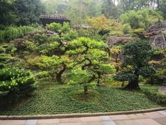-南山植物园