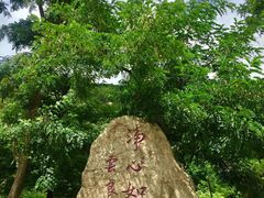 -无染寺