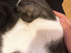 -万小咖.猫咖(中山路天虹店)