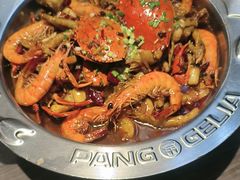 -胖哥俩肉蟹煲(梅溪步步高店)