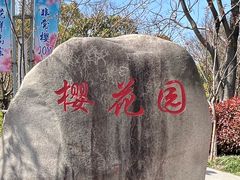 -高东镇樱花园