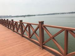 -丁香湖公园