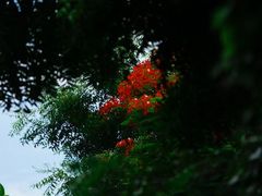 -维乐口腔医院(星海湾分院)