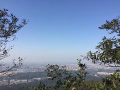 -紫金山山顶公园