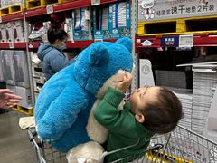 -山姆会员商店(上海浦东店)