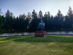 -上海海湾国家森林公园