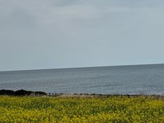 -涉地可支