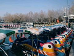 -朝阳公园游乐园