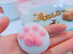 -三花喵·撸猫购宠·宠物生活馆(虹桥南丰城店)