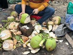 -东郊椰林