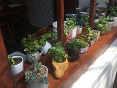 -铃木食堂(帽儿胡同店)