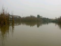 -白鹭湾湿地公园