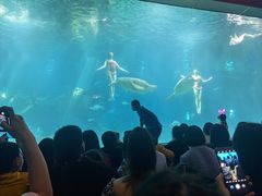 -福州罗源湾海洋世界旅游区