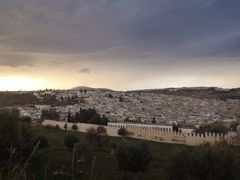 -穆莱拉赫制革厂