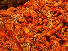 -海岛八号龙虾烧烤田鸡(蓝天路总店)