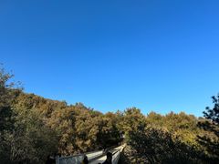 -北京西山国家森林公园