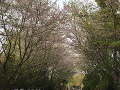-长广溪湿地公园