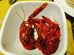 -京华世纪酒店·潮苑大酒楼(益华百货店)