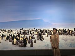 -罗红摄影艺术馆