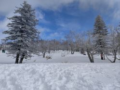 -大秃顶子山