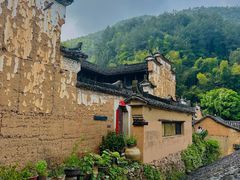-杨家堂村