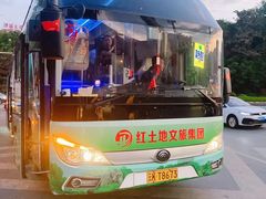 -西双版纳原始森林公园