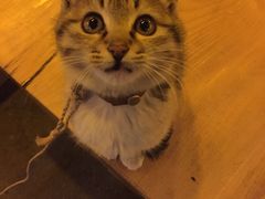 -在路上酒吧(大理古城店)