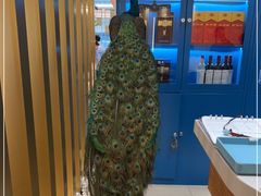 -半岛听涛蒸汽海鲜自助(K11店)