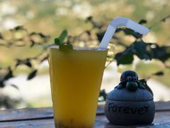 百香果茶-荒度咖啡(北九水店)