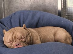 -HALO SOUL COFFEE·咖啡·甜品·简餐(嘉年华海信广场店)