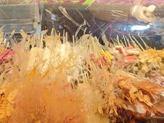 -小朱麻辣串(益民街店)