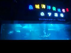 -泉城欧乐堡海洋极地世界