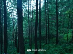 -驼梁风景区