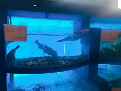 -莆鑫海鲜城(浏河店)