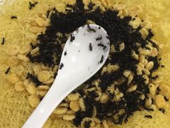 松子香蚂蚁-绿岛生态园