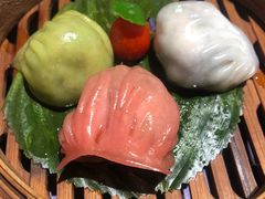 -点都德·毕德寮