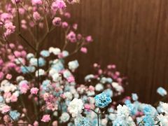 -金陵杨胖子·砂锅麻辣烫(金轮新天地店)