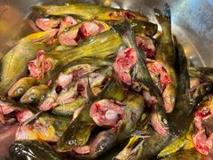 -肖肖酸萝卜鱼火锅(总店)