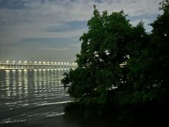 -宝安西湾红树林湿地公园