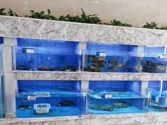 -香山湖渔家大院