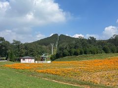 -大连铭湖国际观光牧场