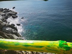 -广东惠东海龟国家级自然保护区