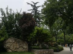 -莲湖公园