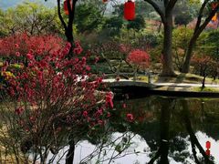 -桃花涧