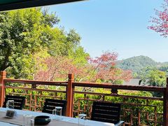 -十八棵（老龙井）御茶园(老龙井店)